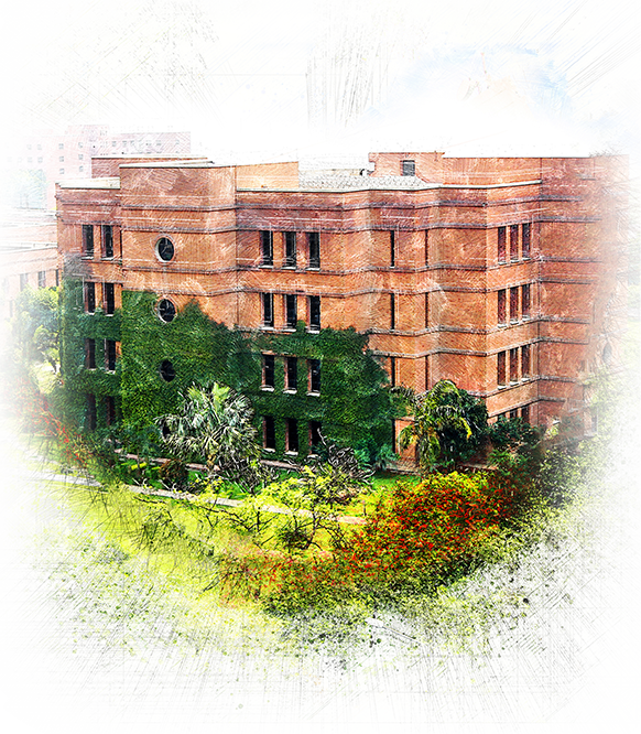 LUMS